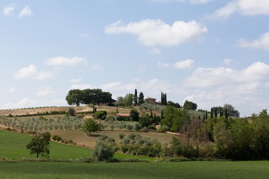 Villa Agriturismo Cignan Rosso à Castellina in Chianti Extérieur photo