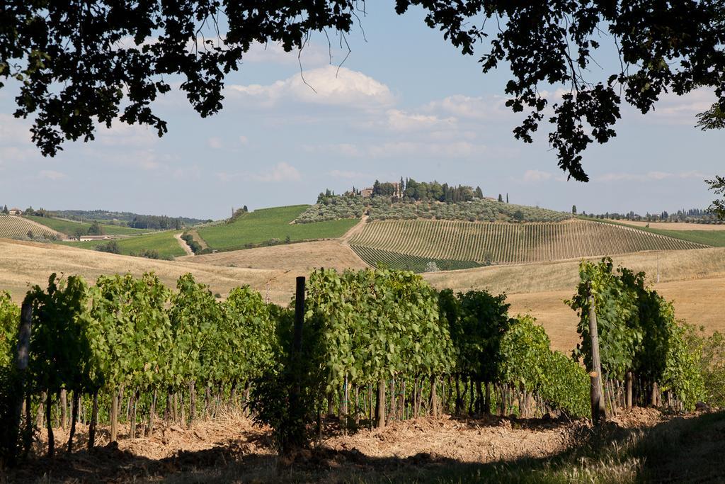 Villa Agriturismo Cignan Rosso à Castellina in Chianti Extérieur photo